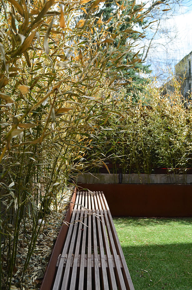 Weathering Steel Bamboo Planters Provide Privacy in Backyard with Ipe Bench
