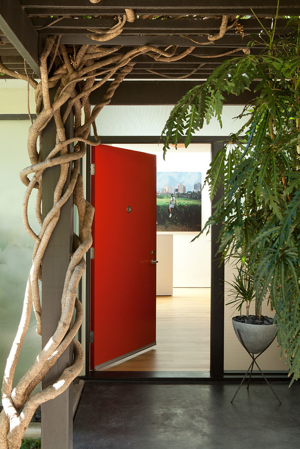 A view of the entry from outside. One enters the house from under a pergola of wisteria, and is immediately within a house of light. A large skylight over the wall at the end of the entry serves as both an art wall, and a way of welcoming you with light in a formerly dark area.