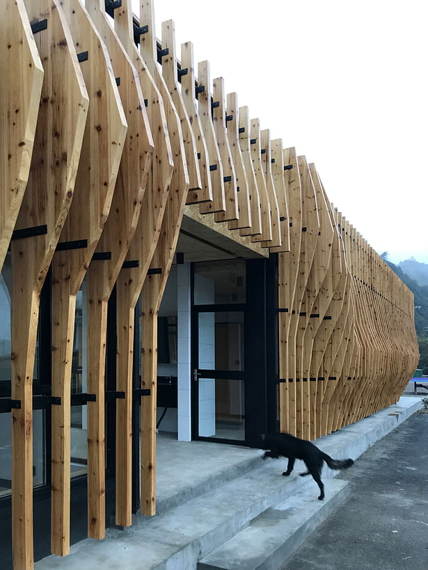 The width of the cedar panels varies gradually from one end of the building to the other, swelling higher up to mark the Centre’s entrance. Photograph by Kostas Grigoriadis.