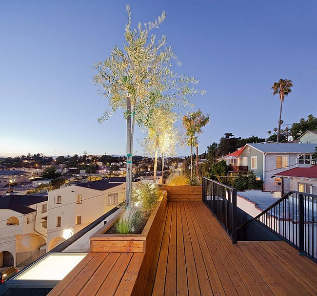 Eels Nest in Echo Park, Los Angeles, CA by Anonymous Architects