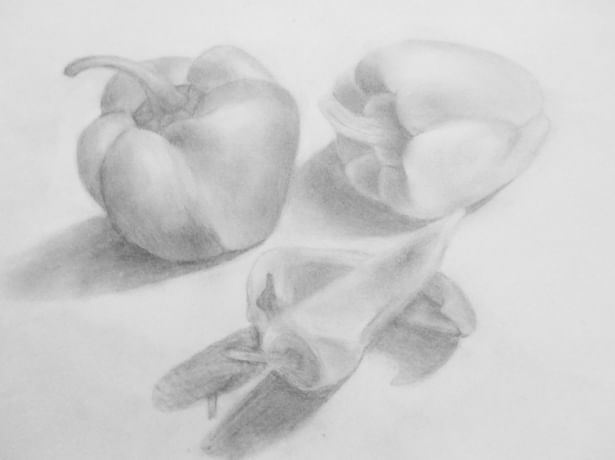 Peppers Pencil Drawing Size: 14in x 11in