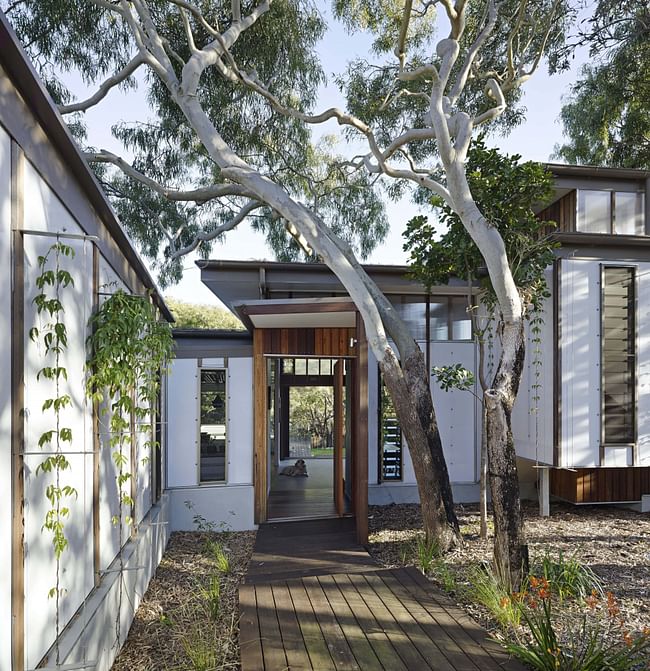 Spoonbill Beach House by Bark Architects – photography by Christopher Frederick Jones