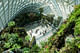 Cooled Conservatories, Gardens by the Bay, Singapore by Wilkinson Eyre; Photo: Craig Sheppard