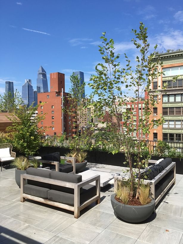 Chelsea Rooftop Garden Design