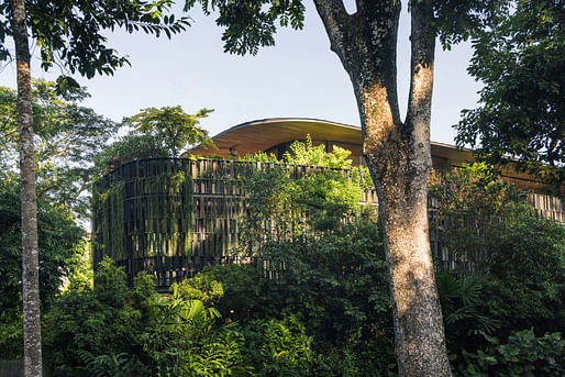 House & Villa (Rural) winner Touching Eden House by Wallflower Architecture + Design. Image: © Finbarr Fallon