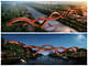 NEXT Architects' bridge in Changsha city