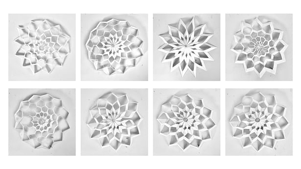 Strip Dome Structure Study Models