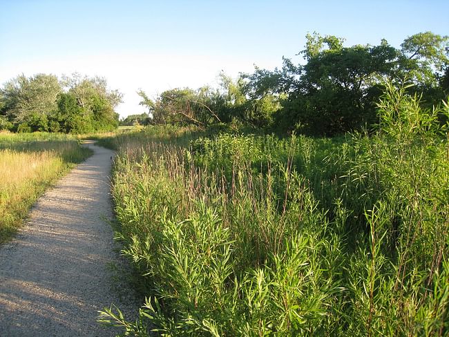 A bird trail in Jackson Park. image via wikimedia.org