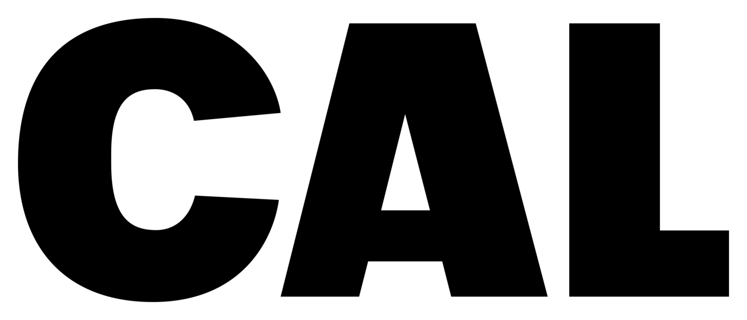Project Manager / Project Architect 