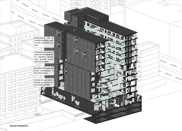 Section Perspective