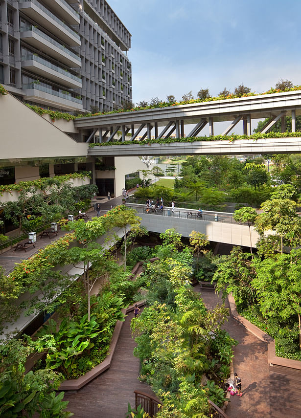 Khoo Teck Puat Hospital sets a new benchmark in healthcare design with its ‘hospital in a garden, garden in a hospital’ concept. (Image Credit: CPG Consultants) 