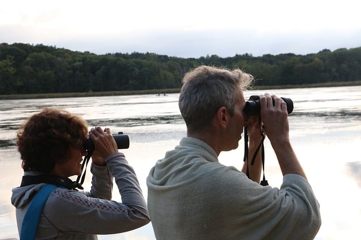 Bird-watching at Camp Wandawega. Photo by Prajakt Karmarkar.