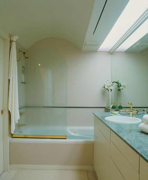 Tub and shower with glass screen.