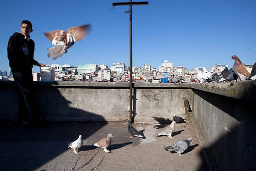 Murat exercises his brother's pigeons on the top of a building, where they have a loft in Tarlabasi.