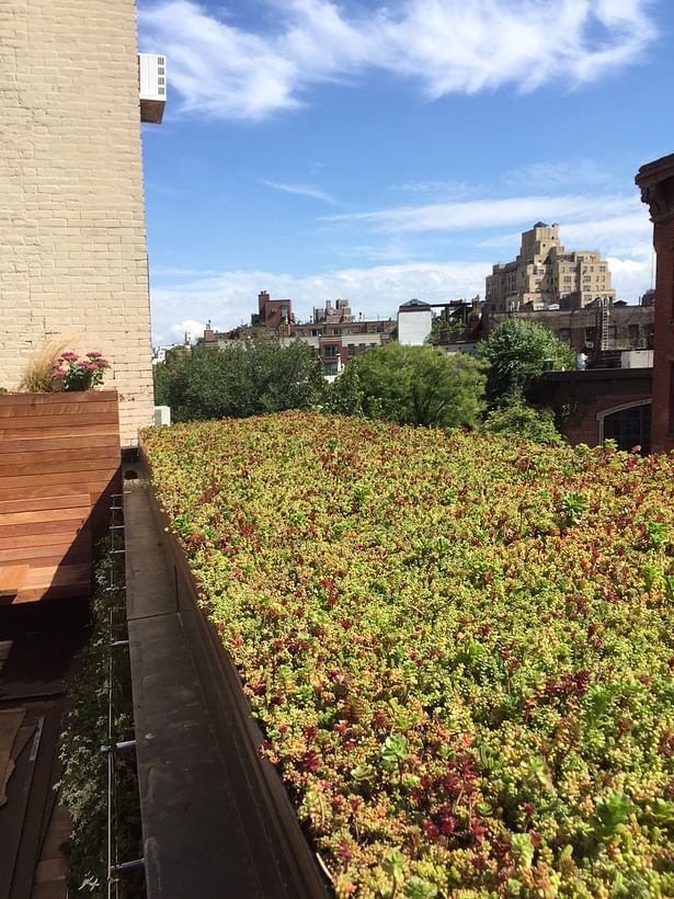 Green roof over cornice at one of terraces.