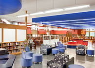 New Visions Public Libraries