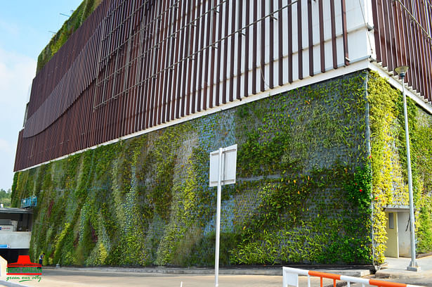 Green wall