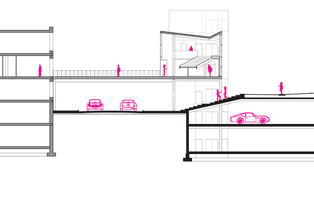 Section Drawing