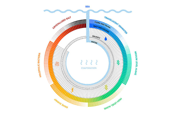 Salina system creates diverse colours and ecologies