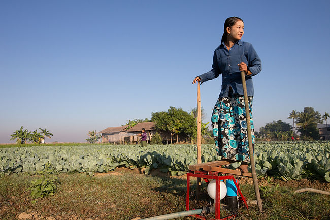 A farmer uses the Baby Buffalo pump to irrigate her crops. Credit: Tim Mitzman.
