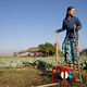 A farmer uses the Baby Buffalo pump to irrigate her crops. Credit: Tim Mitzman.