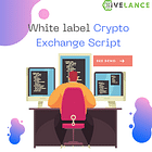 Cryptocurrency Exchange script solutions
