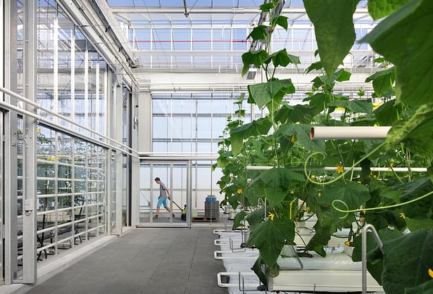 Agrotopia | Circular high-tech research facilities | Image: Filip Dujardin