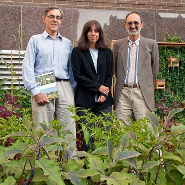 Ryerson researchers Mark Gorgolewski, June Komisar and Joe Nasr co-authored a 2011 book that explores how architecture can foster urban agriculture