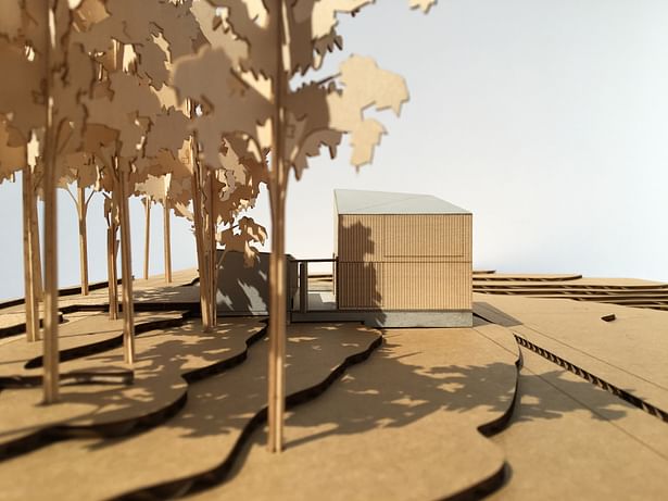 Black Point Beach House - Model (Faulkner Architects) 