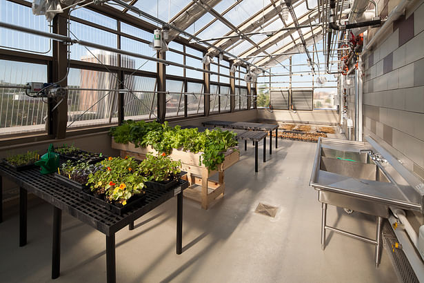 Rooftop greenhouse