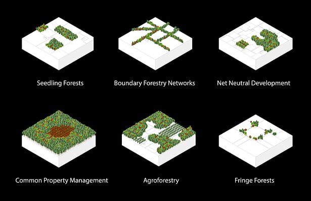 Different types of vegetation cover diagrams for different types of lands based on their usage.