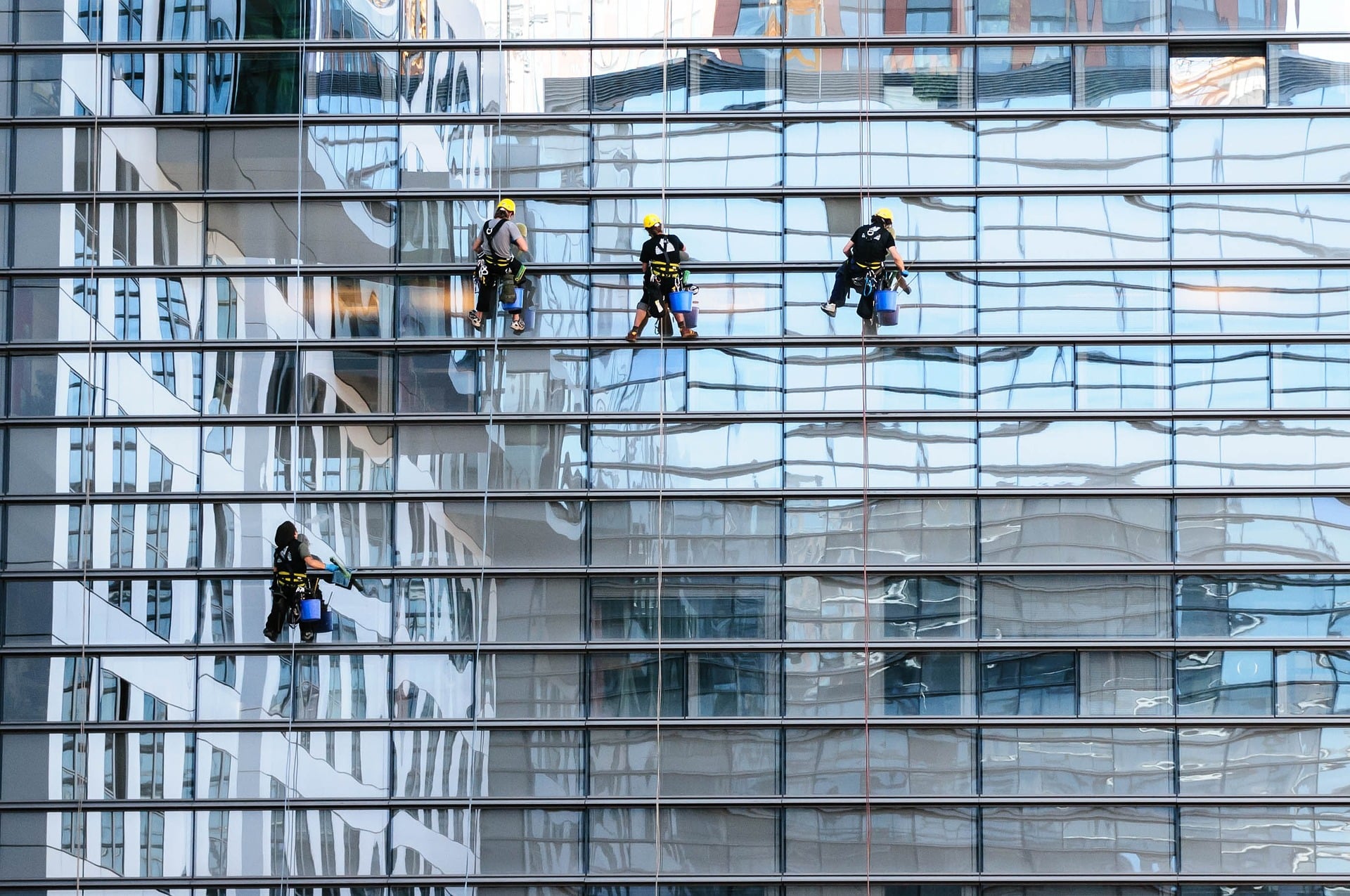 Architects lobby for bird-friendly glass as NYC overhauls cladding ...
