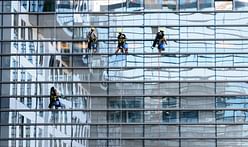 Architects lobby for bird-friendly glass as NYC overhauls cladding regulations