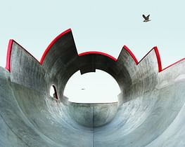 California's concrete skateparks come alive in a new photography book 