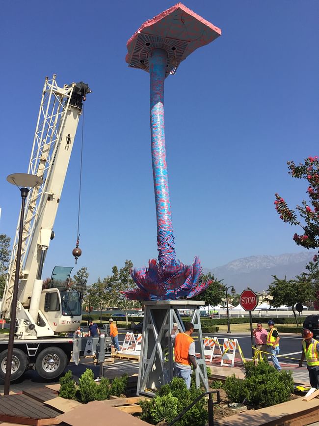 'Native' being installed. Image courtesy of Donna Sink.