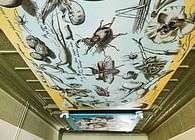 Interior Specialty- Illustrated Ceilings