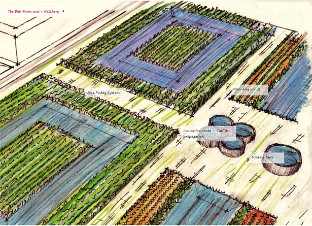 Agroecology and Aquaculture in MBITA, Kenya