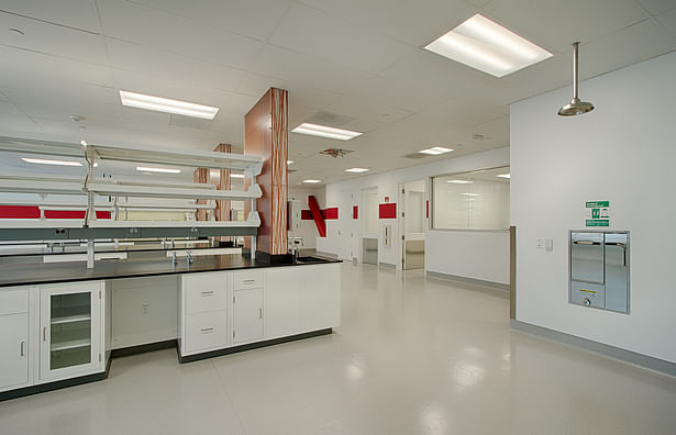 BSL-2 Laboratory Area