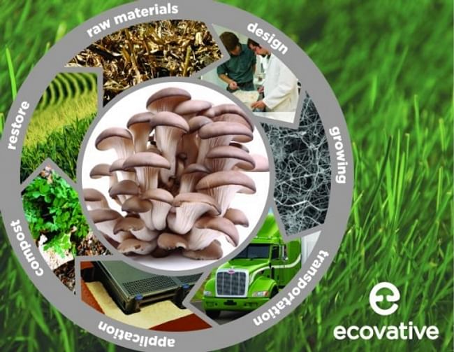 2013 Challenge Finalist: Ecovative