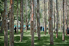 Maya Lin’s Ghost Forest brings the climate crisis to Madison Square Park