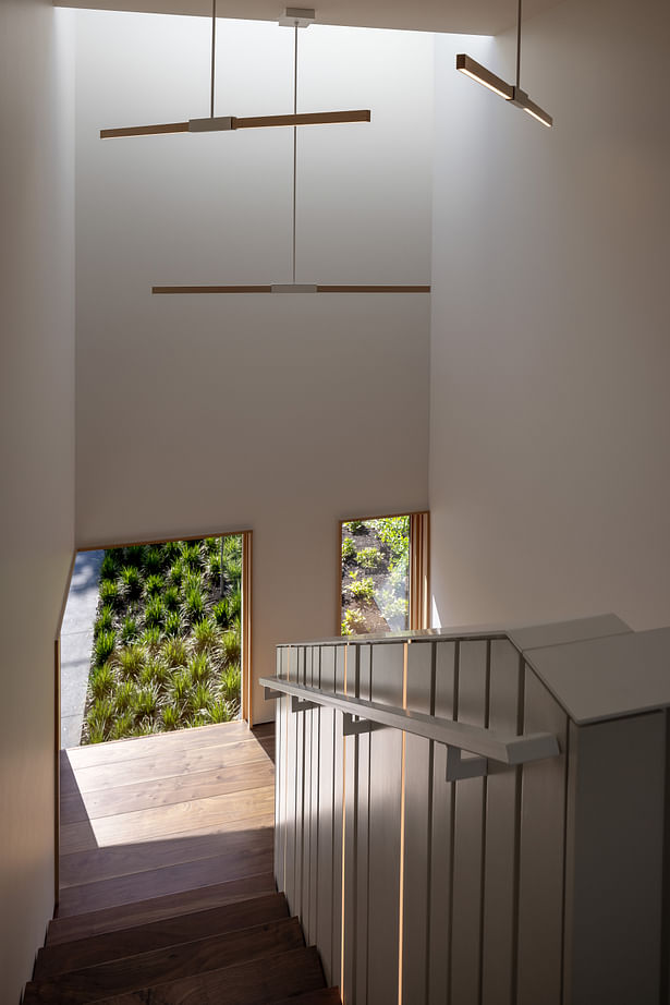 LED lights and pendants activate the stairwell in the evening. Photography: Andrew Pogue Photography
