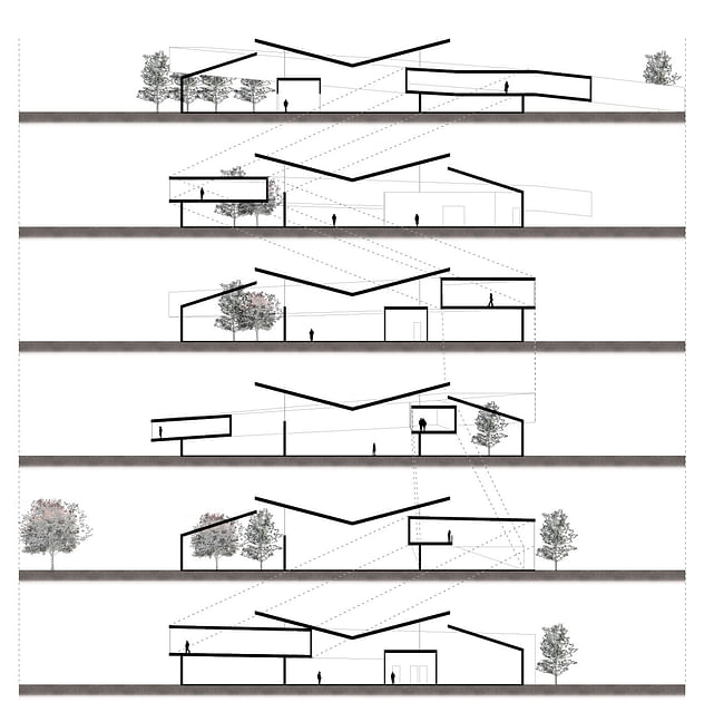 Cross Sections