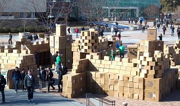 Architecture students compete to build largest cardboard structure