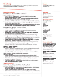 Professional Resume