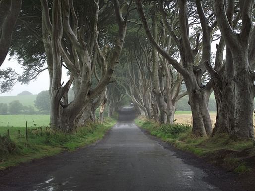 Ireland is going to plant a lot of trees. Image courtesy of Needpix.