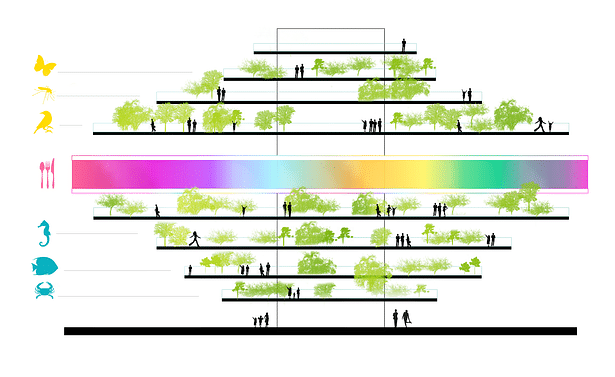 Section | Diagram Lines _ Proposed spaces for species 