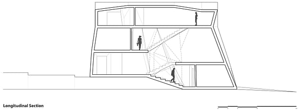 Longitudinal Section