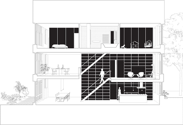 Longitudinal section