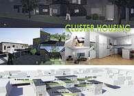 Cluster Housing