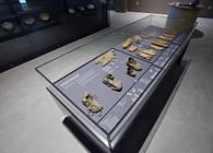 Artifact Display Case System